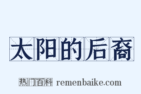 太阳的后裔是什么意思的图片